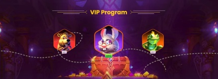 Bizzo Casino vip program