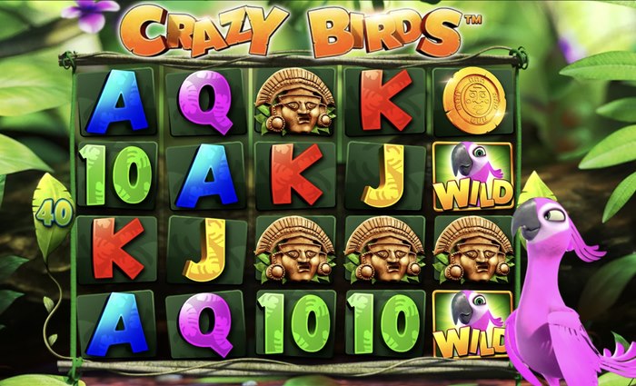 Crazy Birds - nyerési esélyeidet
