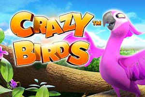 Crazy Birds kaszinó nyerőgép