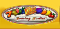 Roaring Forties Logo