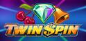 Twin Spin Logo