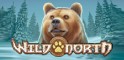 Wild North Logo