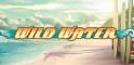 Wild Water Logo