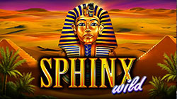 Sphinx Wild