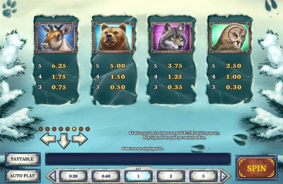 Wild North slot jellemzők