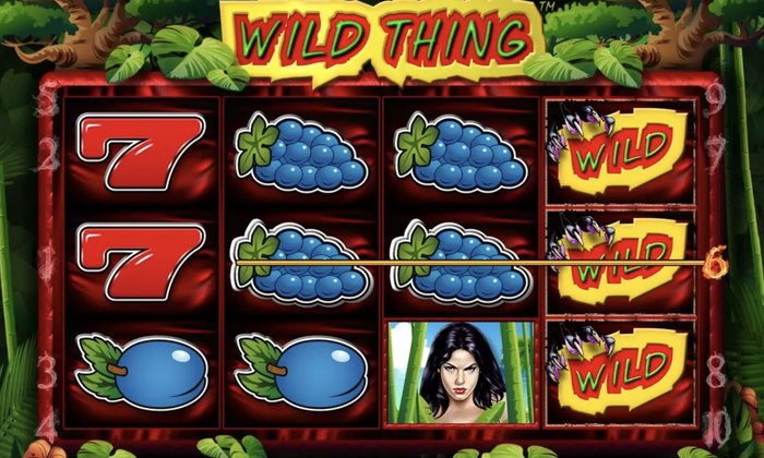 Wild Thing nyerőgép