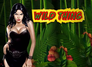 Wild Thing kaszinó nyerőgép