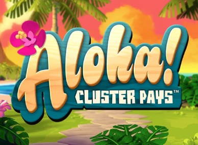 Aloha Cluster Pays