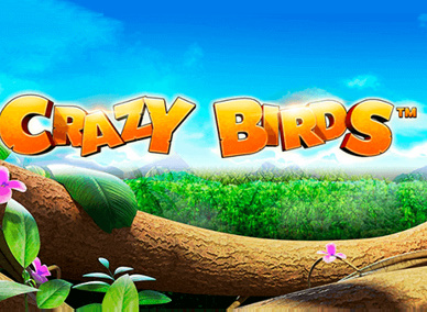 Crazy Birds nyerőgép